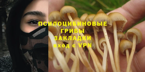 а пвп мука Горно-Алтайск