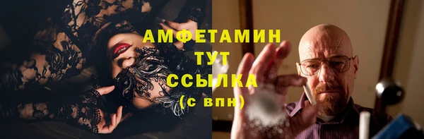 Альфа ПВП Дмитриев