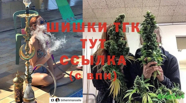 Альфа ПВП Дмитриев