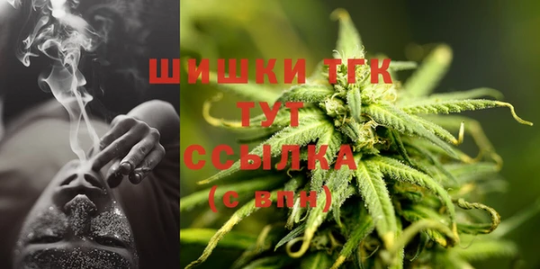 Альфа ПВП Дмитриев