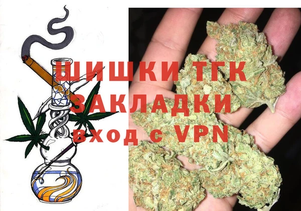 стаф Елизово